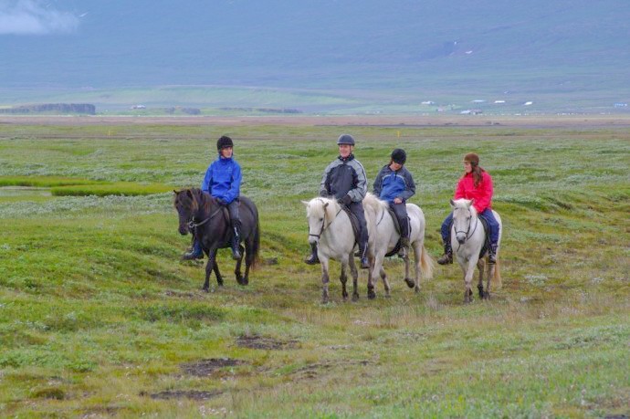 Horse riding tours around Egilsstaðir